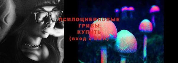 apvp Алексеевка