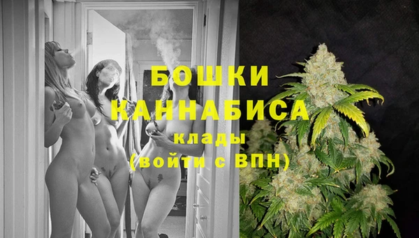 ECSTASY Пестово