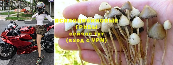марки nbome Алзамай