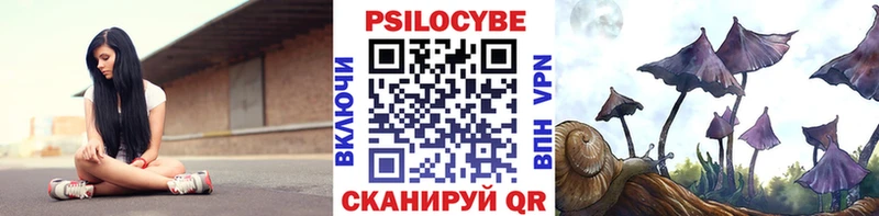 мориарти наркотические препараты  Лихославль  Галлюциногенные грибы мицелий 
